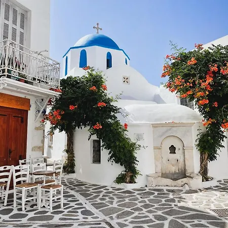 Premium Naxos Family With Private Balcony Modern Furnishing
