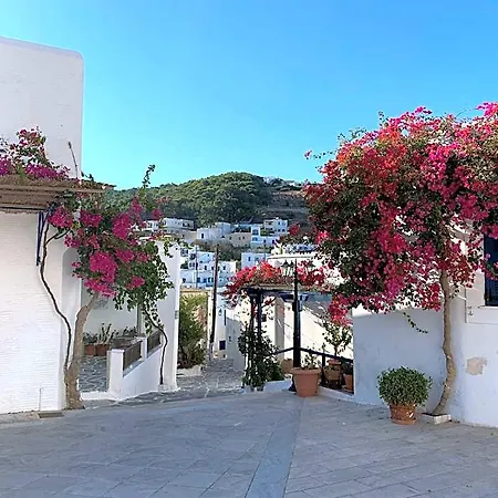Villa Premium Naxos Family With Private Balcony Modern Furnishing